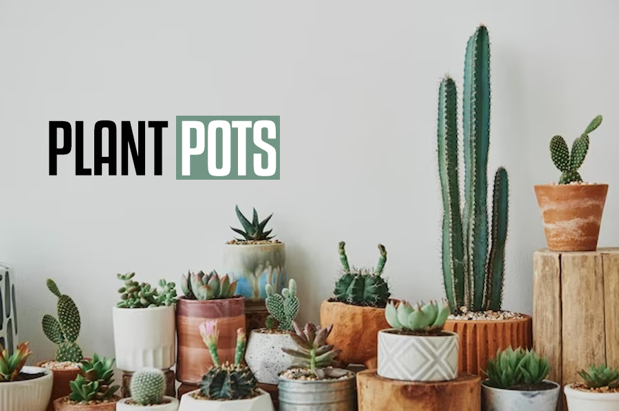 Plants Pots