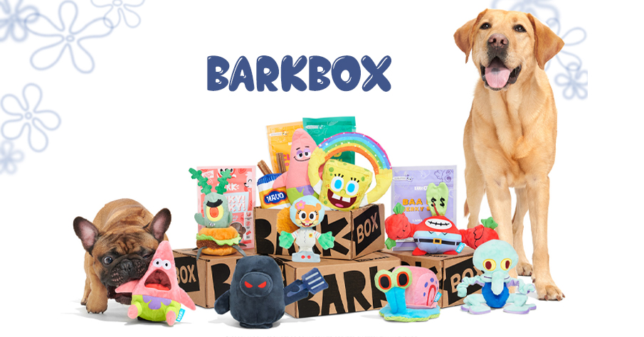 Barkbox | client gift ideas