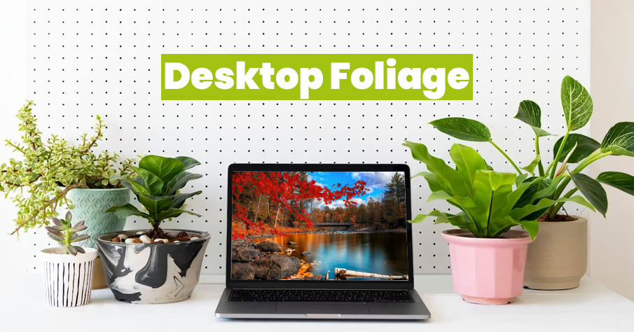 Desktop Foilage | client gift ideas